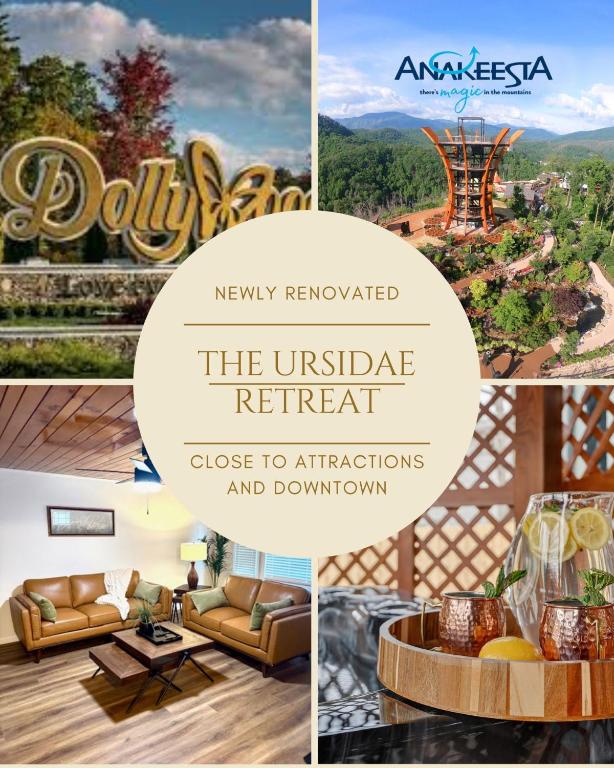1mi to Downtown, Near Smokies & Convention Center Ursidae A - B&B Gatlinburg