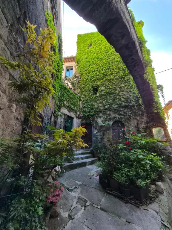 PapalePapale B&B - B&B Viterbo