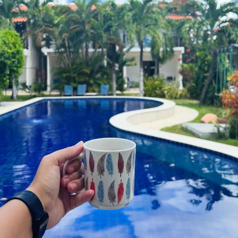Bangalô encantador com piscina em Falésias de Carapibus - B&B Conde