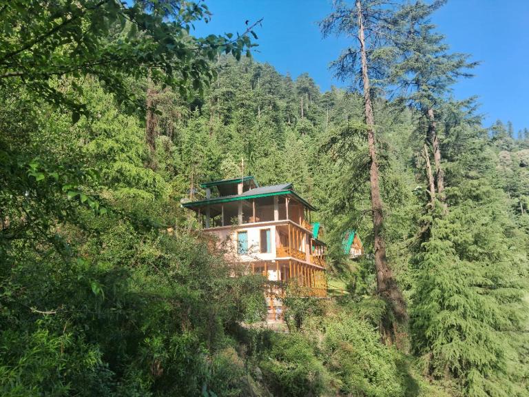 Bhindeshi Tara Stays Jibhi Mihar - B&B Jābo