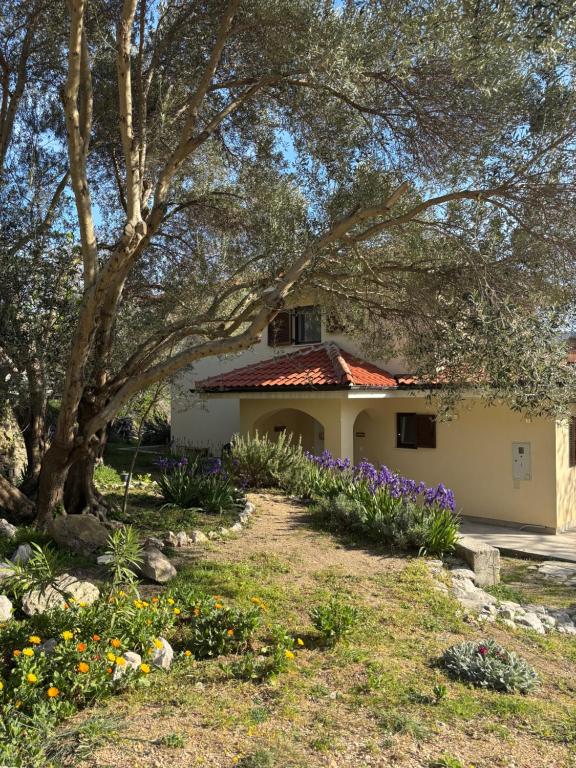 Oliva Relax - Bed and Breakfast Baška