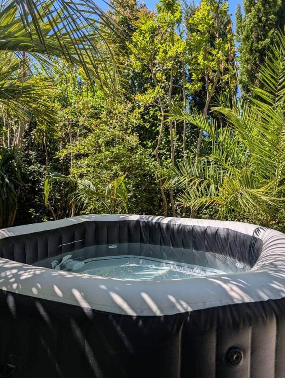 La palmeraie en Provence - B&B Jonquières