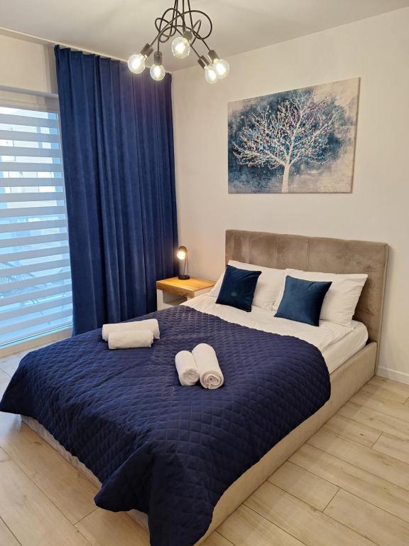 Studio Blue&Wine - B&B Breslavia
