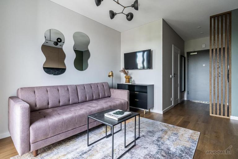 Modern Cozy Studio in Baltupiai near Ozas Park & City Center - B&B Vilnius