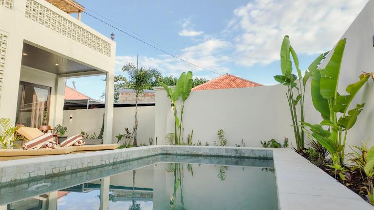 Blue Coconut Villa - B&B Lovina