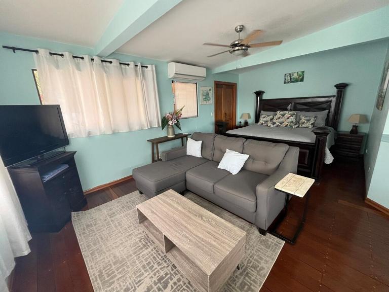 Loft view city Oasis Apartamento #6 - Bed and Breakfast Colón