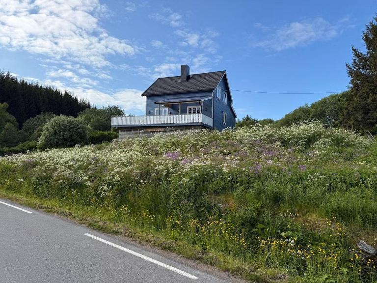 House with a view of fjord, Vesterålen, Langøya, Lofoten - Chambres d'hôtes Bø