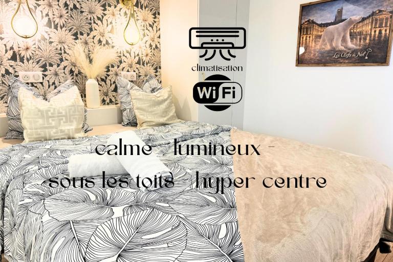 Petite Merveille sous les toits - B&B Dijon