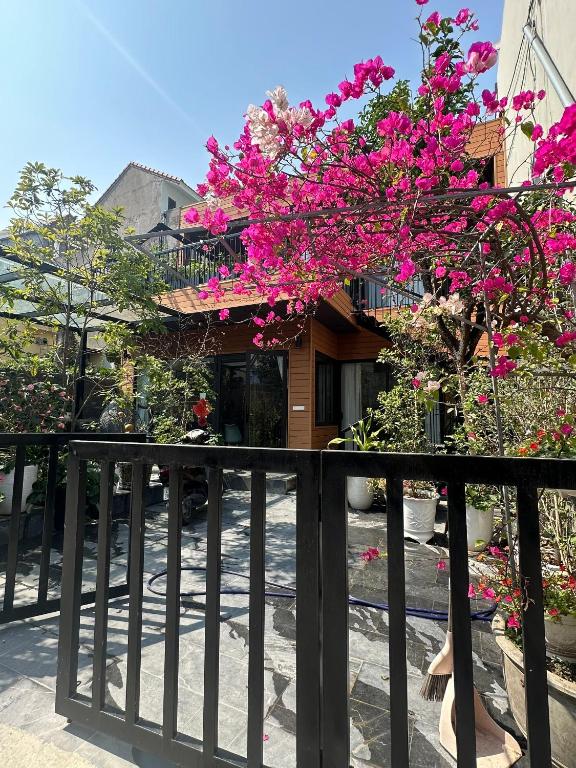 Đông Hương Home - B&B Cát Bà