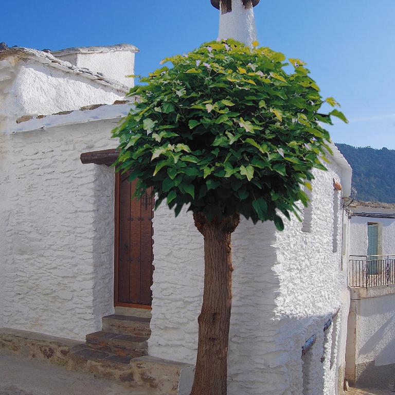 Casa El Rincón del Ángel - B&B Bubión