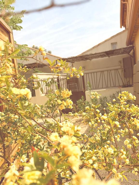 Chez Nous - B&B Mérindol