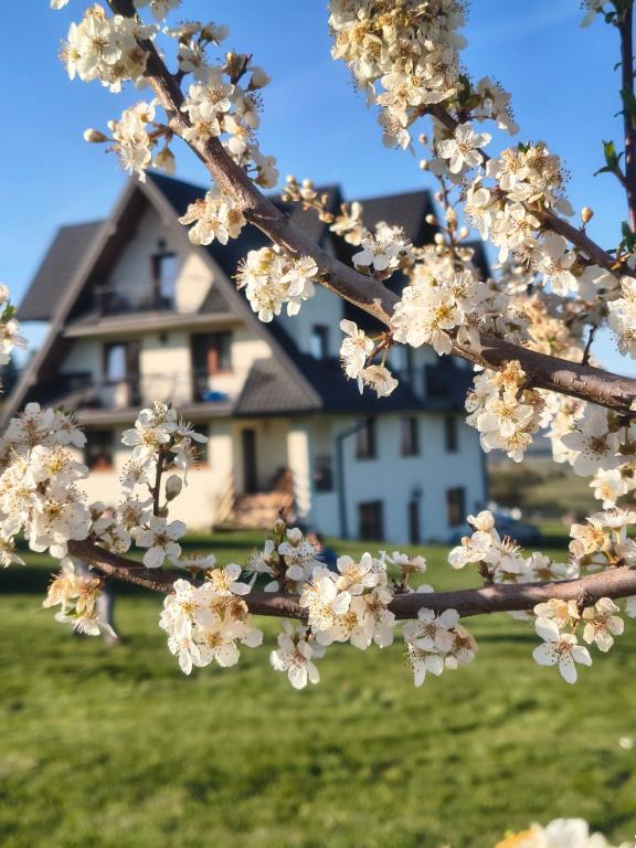 Stramówka - B&B Groń