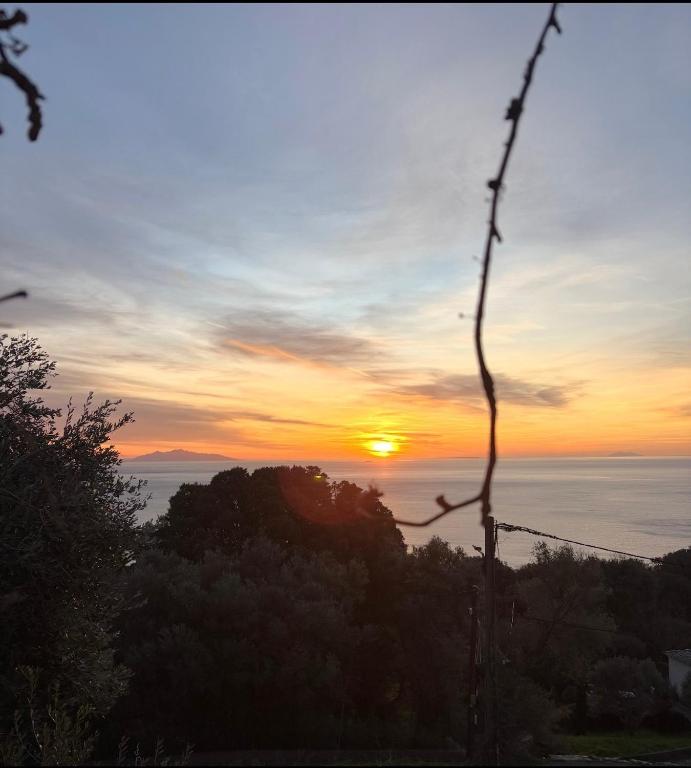 Villa la serella - Ferienwohnung Brando