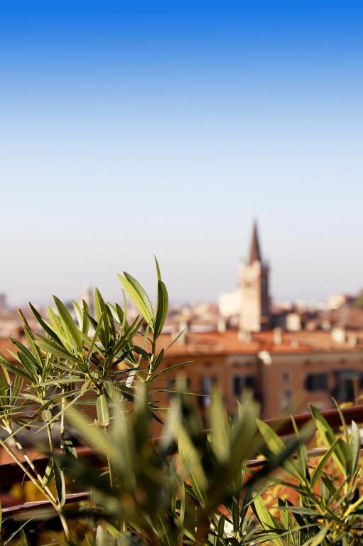 Stelle di Verona - Selene - B&B Verona