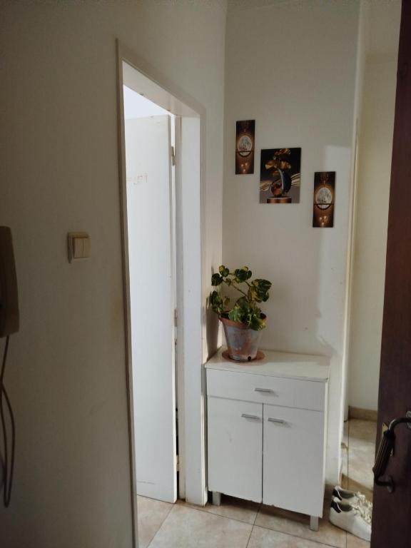 Montijo sharing and personal room available overnight stay - B&B Montijo