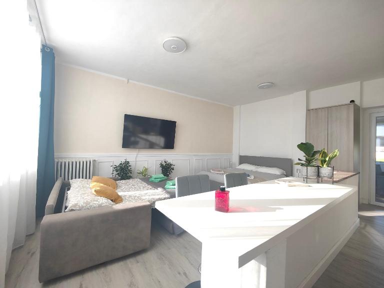 Mini Loft con terrazza vista Alpi - Bed and Breakfast Vinovo