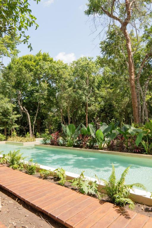 Luxury Penthouse, Rooftop Pool and Lagoon - Ferienwohnung Bacalar