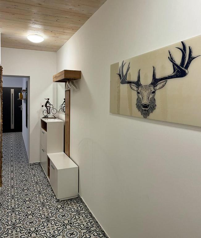 Fewo Kaiserin - B&B Willingen