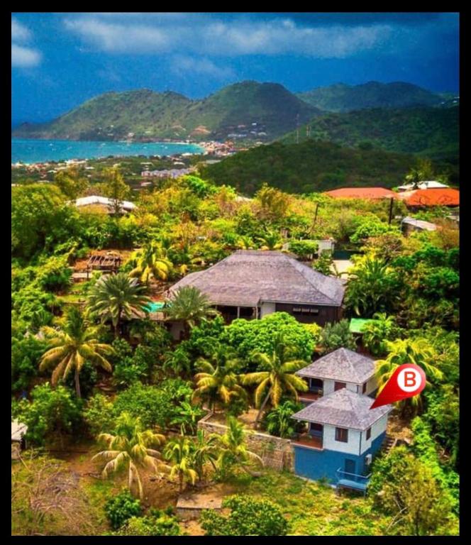 Les Nids Tropicaux - Bed and Breakfast Marigot