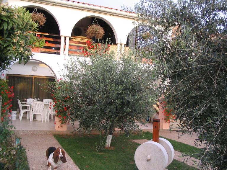 Apartment Dady with a large covered terrace - B&B Fažana