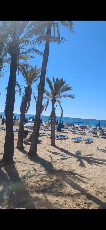 By water Holiday - Bed and Breakfast Benidorm