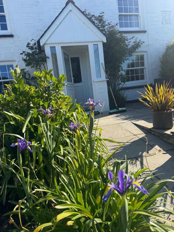 End Cottage Veryan Cornwall - Chambres d'hôtes Truro