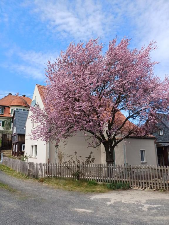 Hirschhäusl - Ferienwohnung Großschönau