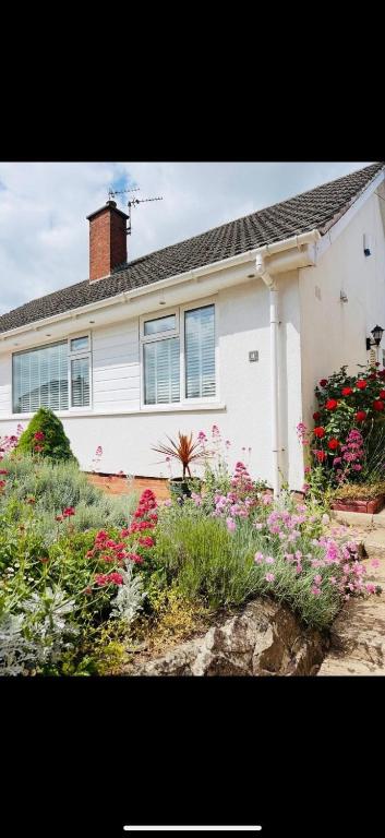 Cosy Room in North Petherton - Bed and Breakfast North Petherton