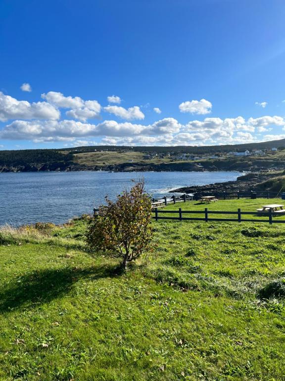 Home From Away - Year Round Oceanview Home Pouch Cove NFLD - B&B Pouch Cove