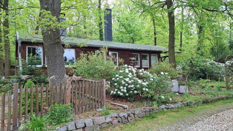 Bungalow am Wald - B&B Coswig