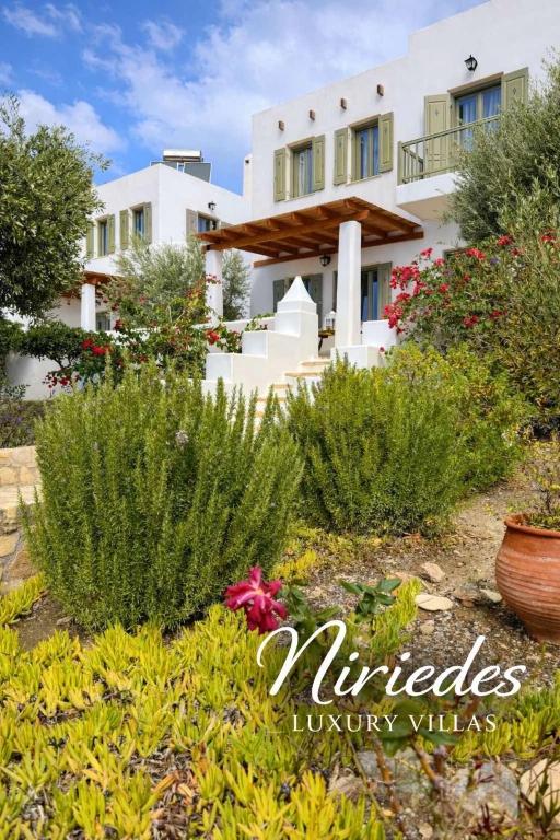 Niriedes Villas - B&B Leipsoí