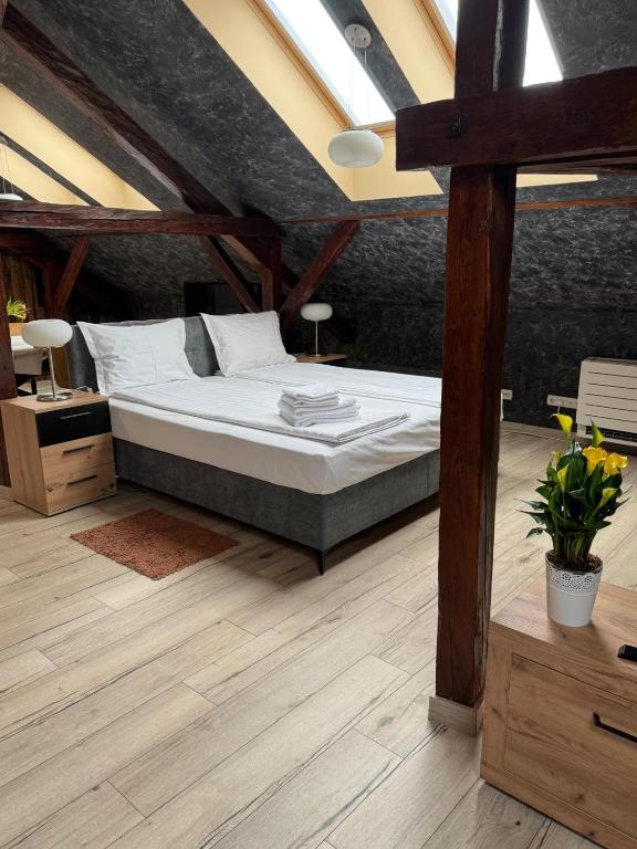 Ana's Loft Cluj - Chambres d'hôtes Cluj-Napoca