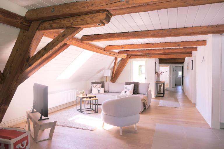 Little Nest -ganzes Loft Nähe Aarau,zwischen Seen und Schlössern, Hund - B&B Teufenthal