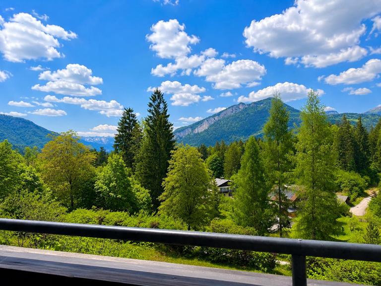 Panorama Apartment Bad Goisern - B&B Bad Goisern