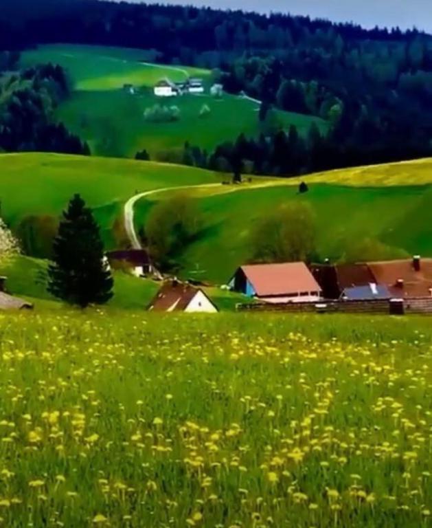 Appartment im Schwarzwald - Bed and Breakfast Furtwangen