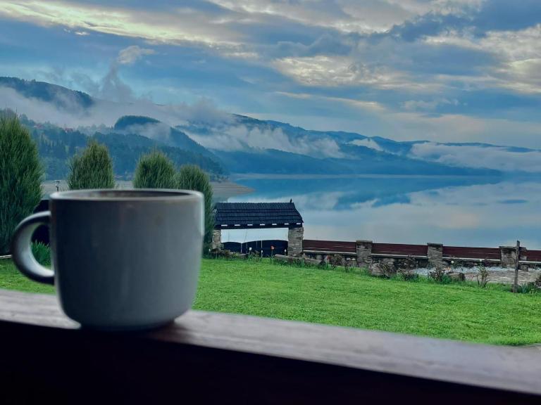 Cabana Panoramic Bicaz - B&B Hangu