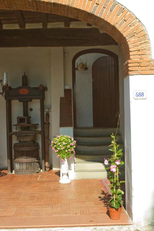 Podere San Lorenzo - B&B Terranuova Bracciolini