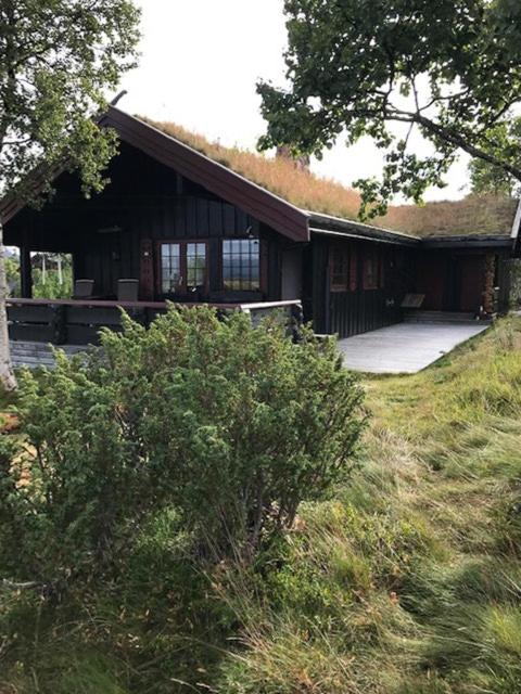 Authentic Cabin Overlooking Lake Møsvann - B&B Rjukan