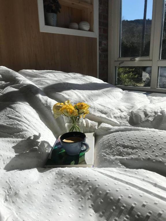Serene Countryside Apartment in Gjesdal, Norway - Chambres d'hôtes Ålgård