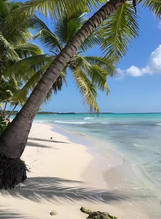 ARUBA BEACH CLUB Lounge Hotel I - B&B Punta Cana