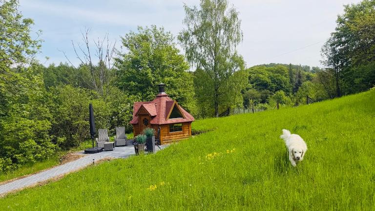 Ferienwohnung Paradies - Ferienwohnung Bad Lauterberg