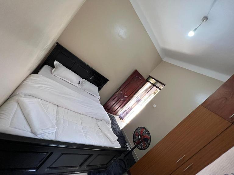 Regeneration - B&B Jinja