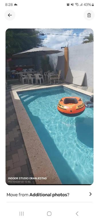 Prvte Studio in Oranjestad with pool - B&B Oranjestad
