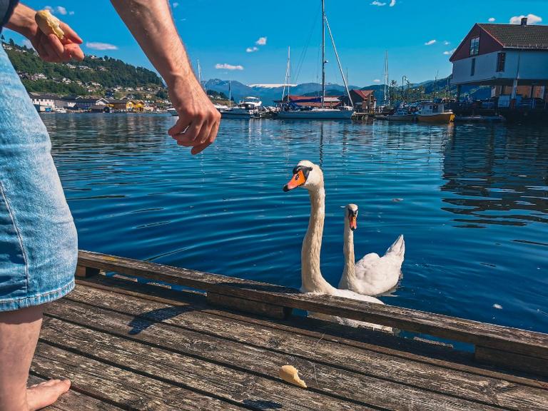 Nortorp, stort hus med egen brygge i sentrum - Chambres d'hôtes Kvamme