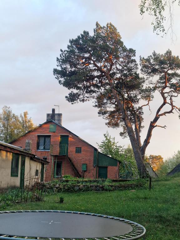 Pie omītes - B&B Ventspils