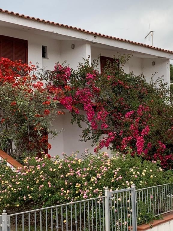 Azzurro mare - B&B San Giovanni
