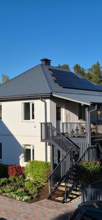 Get close to the Nature and Reset Your Mind - Bed and Breakfast Carnikava