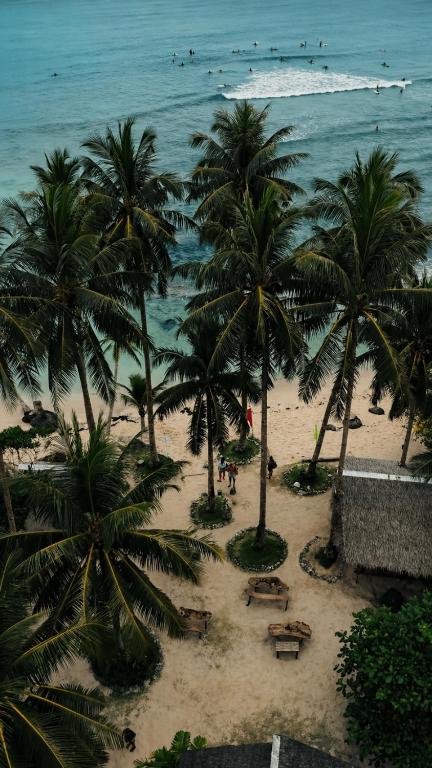 Camp Olli Beach Villas - B&B Dapa
