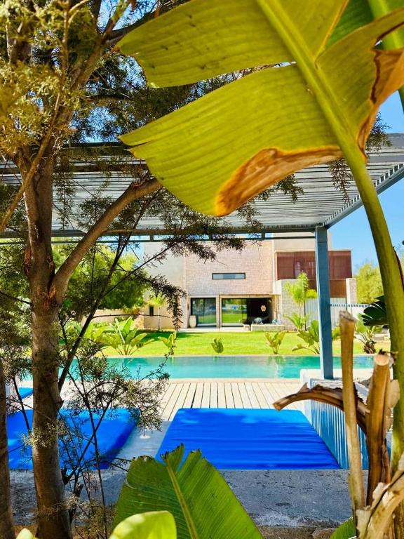 Villa Terra Akal - B&B Essaouira