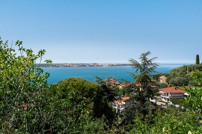 Apartment Rita RM - B&B Portorose